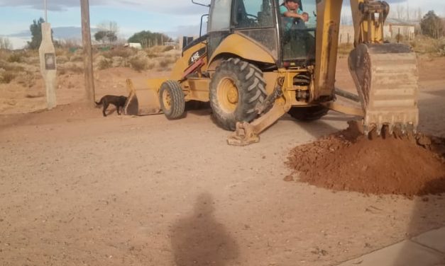 Avances en predio Rincón de los Sauces