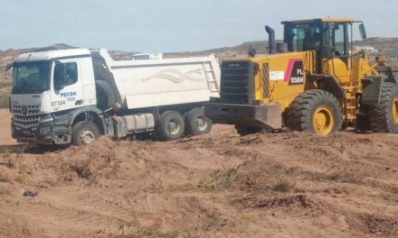 Avances en el predio de Rincón de los Sauces