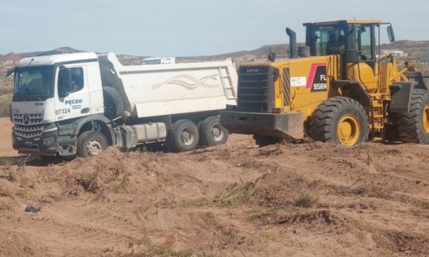 Avances en el predio de Rincón de los Sauces