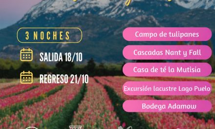 VOLVEMOS A LOS TULIPANES – LAGO PUELO